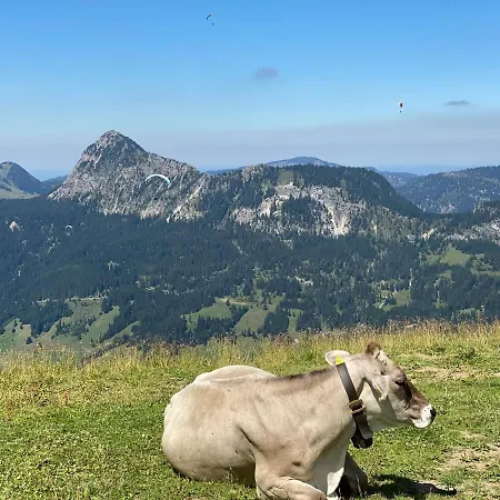 Mountain Moments - Familie Weber *